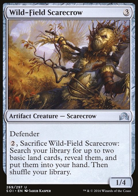 Wild-Field Scarecrow